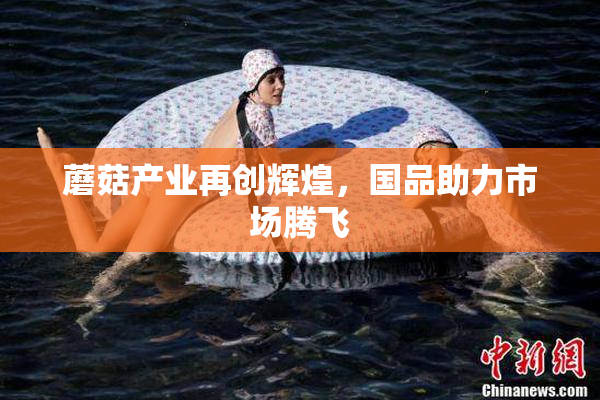 蘑菇产业再创辉煌，国品助力市场腾飞