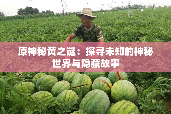 原神秘黄之谜：探寻未知的神秘世界与隐藏故事