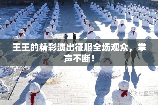 王王的精彩演出征服全场观众，掌声不断！