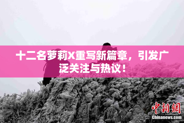 十二名萝莉X重写新篇章，引发广泛关注与热议！