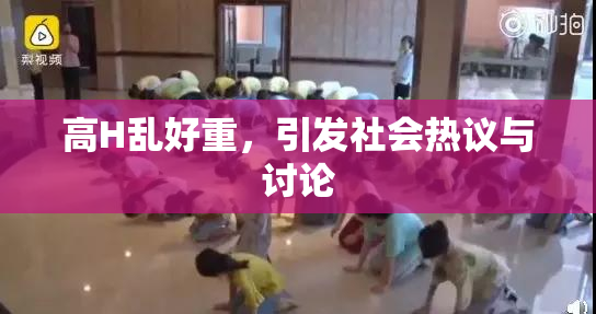 高H乱好重，引发社会热议与讨论