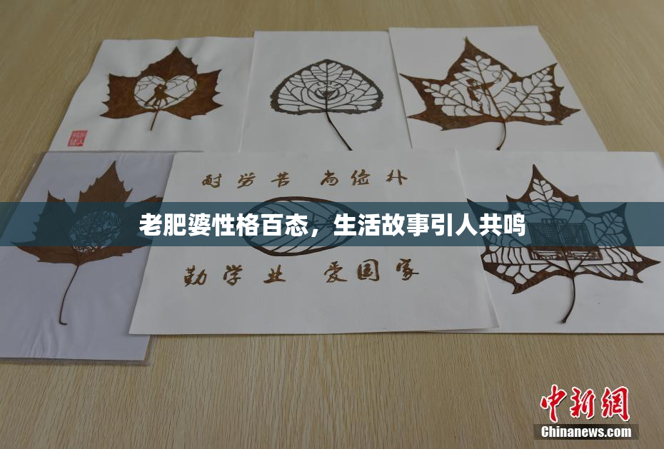 老肥婆性格百态，生活故事引人共鸣