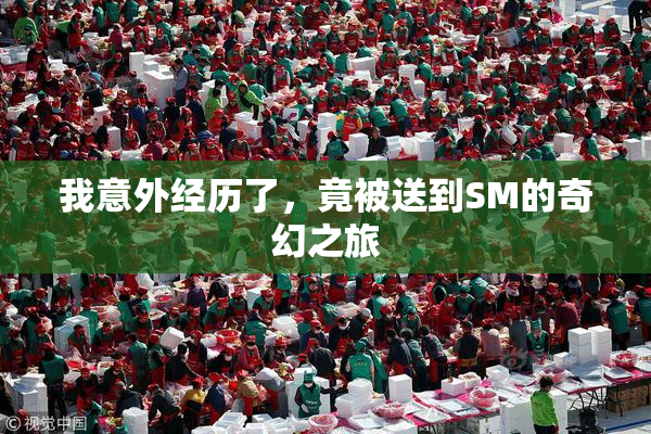 我意外经历了，竟被送到SM的奇幻之旅