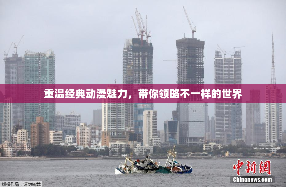 重温经典动漫魅力，带你领略不一样的世界