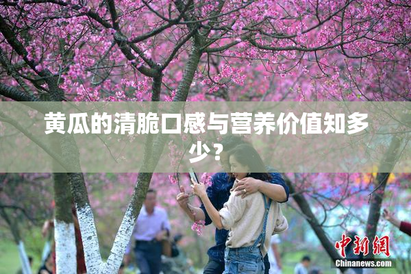 黄瓜的清脆口感与营养价值知多少？