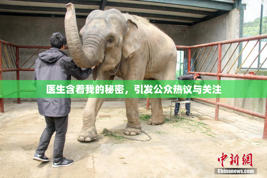 医生含着我的秘密，引发公众热议与关注