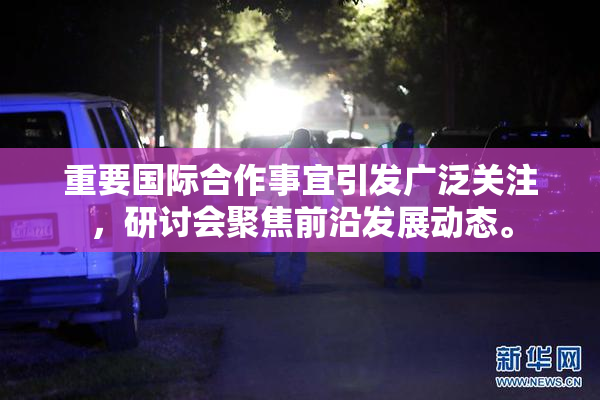 重要国际合作事宜引发广泛关注，研讨会聚焦前沿发展动态。