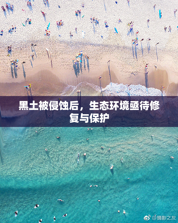 黑土被侵蚀后，生态环境亟待修复与保护