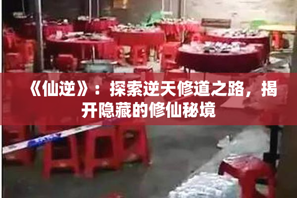 《仙逆》：探索逆天修道之路，揭开隐藏的修仙秘境