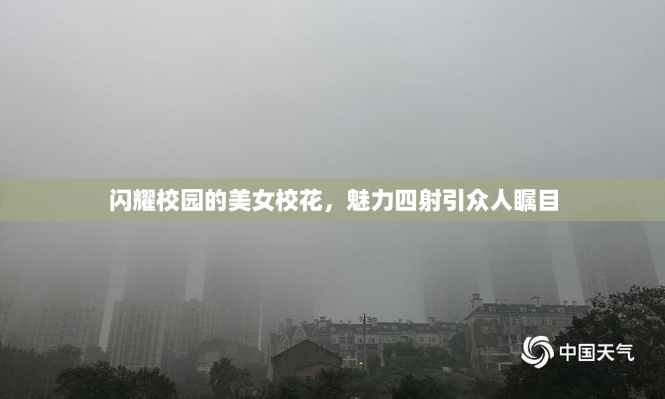 闪耀校园的美女校花，魅力四射引众人瞩目