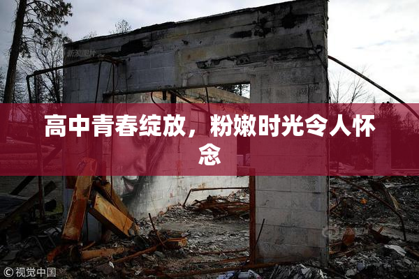 高中青春绽放，粉嫩时光令人怀念
