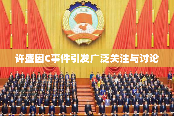 许盛因C事件引发广泛关注与讨论