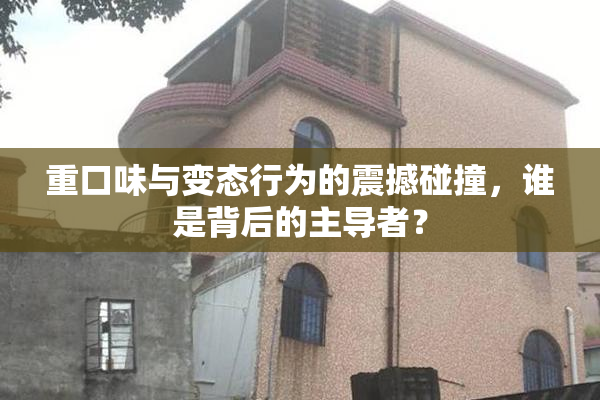 重口味与变态行为的震撼碰撞，谁是背后的主导者？