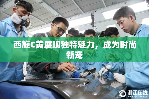 西施C黄展现独特魅力，成为时尚新宠