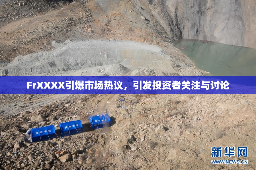 FrXXXX引爆市场热议，引发投资者关注与讨论