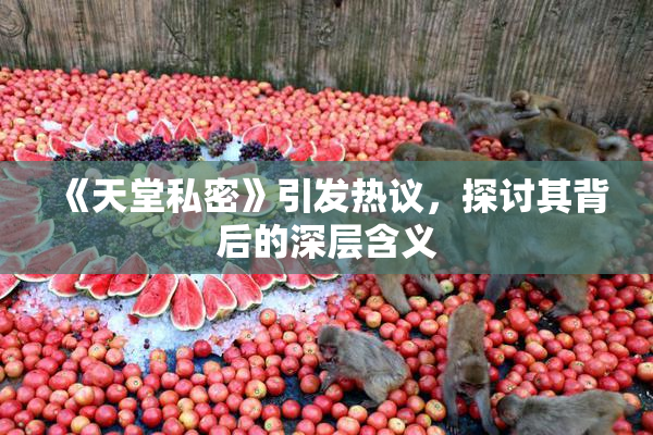 《天堂私密》引发热议，探讨其背后的深层含义