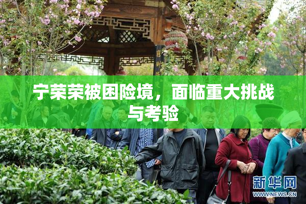 宁荣荣被困险境，面临重大挑战与考验