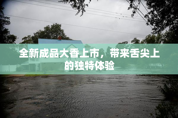 全新成品大香上市，带来舌尖上的独特体验