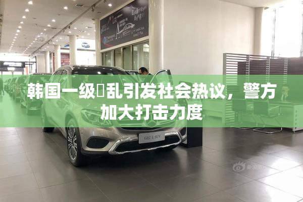 韩国一级婬乱引发社会热议，警方加大打击力度