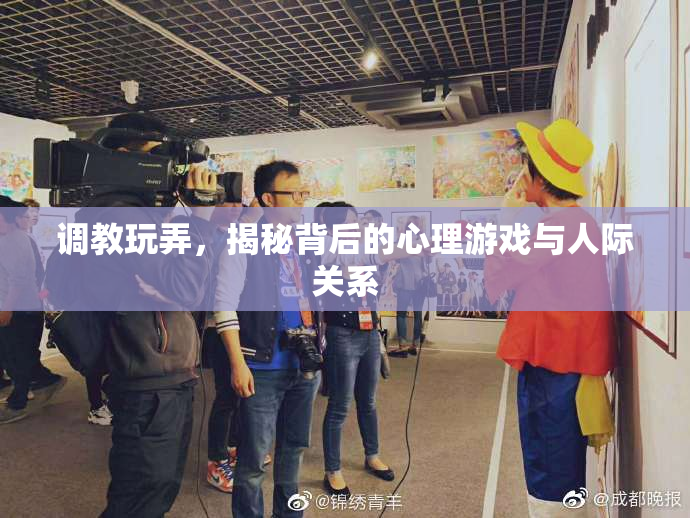 调教玩弄，揭秘背后的心理游戏与人际关系