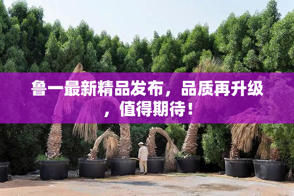 鲁一最新精品发布，品质再升级，值得期待！