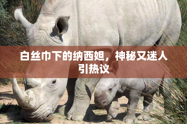 白丝巾下的纳西妲，神秘又迷人引热议