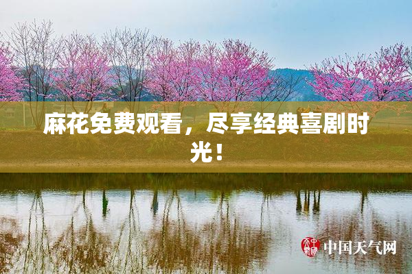 麻花免费观看，尽享经典喜剧时光！