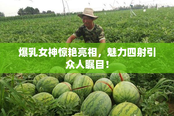 爆乳女神惊艳亮相，魅力四射引众人瞩目！