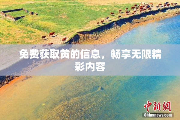 免费获取黄的信息，畅享无限精彩内容