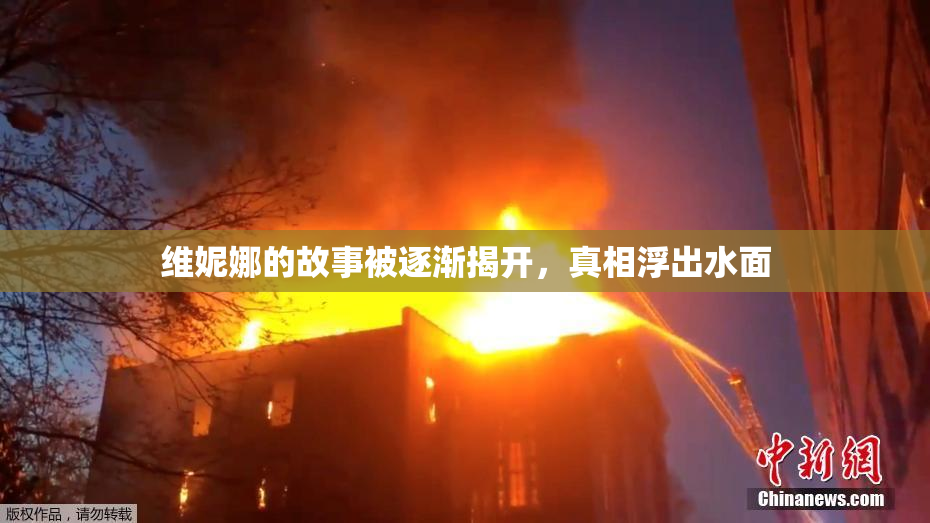 维妮娜的故事被逐渐揭开，真相浮出水面