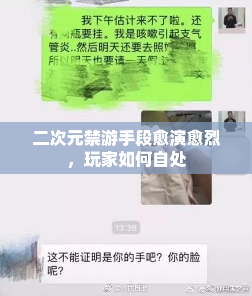 二次元禁游手段愈演愈烈，玩家如何自处