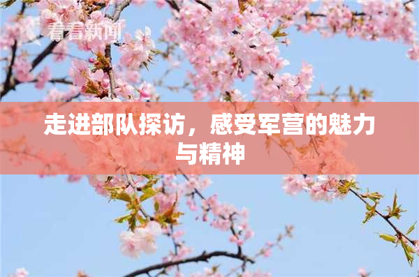 走进部队探访，感受军营的魅力与精神