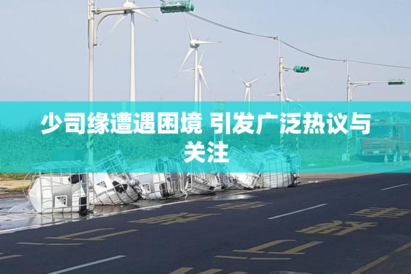 少司缘遭遇困境 引发广泛热议与关注