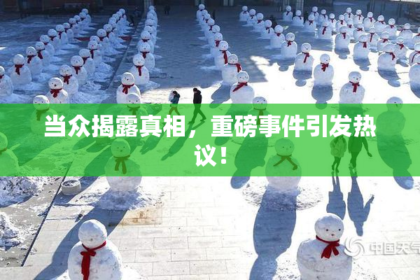 当众揭露真相，重磅事件引发热议！