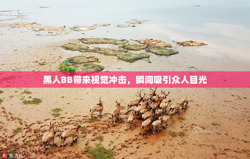黑人BB带来视觉冲击，瞬间吸引众人目光
