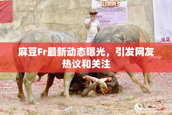 麻豆Fr最新动态曝光，引发网友热议和关注