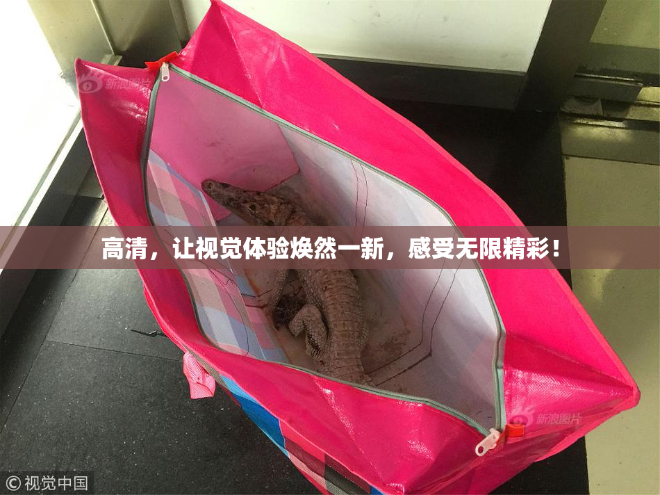高清，让视觉体验焕然一新，感受无限精彩！