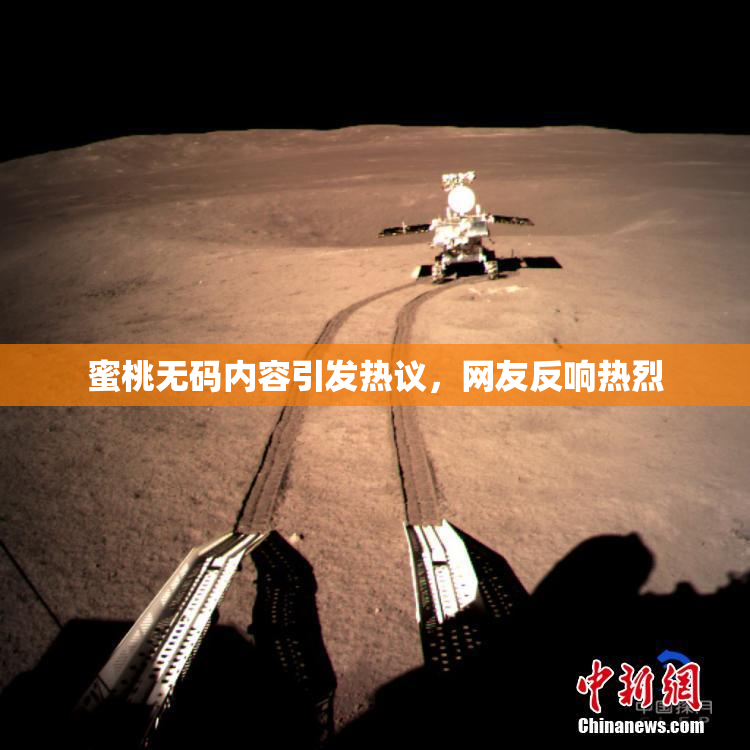 蜜桃无码内容引发热议，网友反响热烈