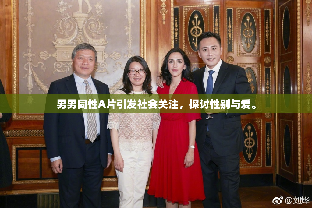 男男同性A片引发社会关注，探讨性别与爱。