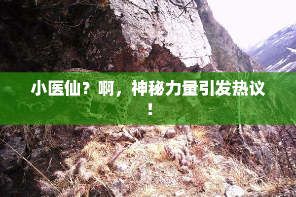 小医仙？啊，神秘力量引发热议！