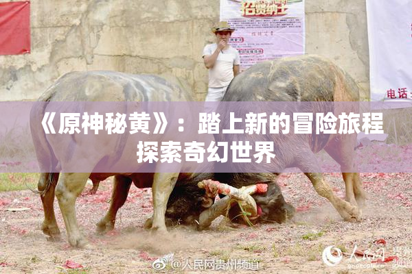 《原神秘黄》：踏上新的冒险旅程探索奇幻世界