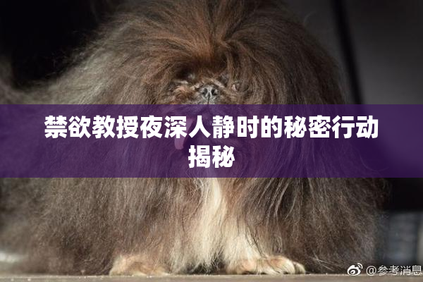 禁欲教授夜深人静时的秘密行动揭秘