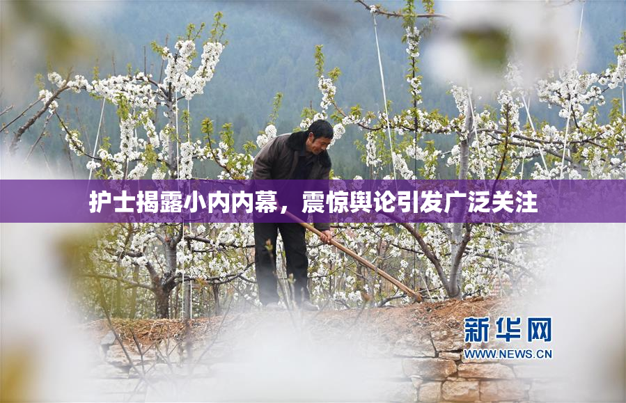 护士揭露小内内幕，震惊舆论引发广泛关注