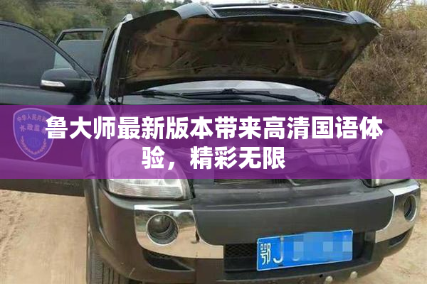 鲁大师最新版本带来高清国语体验，精彩无限