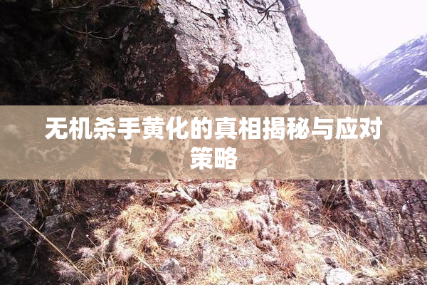 无机杀手黄化的真相揭秘与应对策略