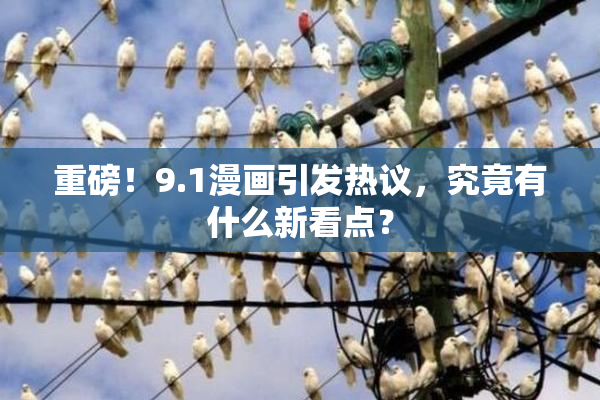 重磅！9.1漫画引发热议，究竟有什么新看点？
