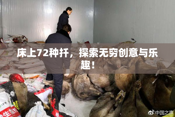 床上72种扦，探索无穷创意与乐趣！