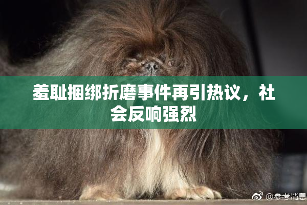 羞耻捆绑折磨事件再引热议，社会反响强烈