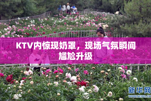 KTV内惊现奶罩，现场气氛瞬间尴尬升级