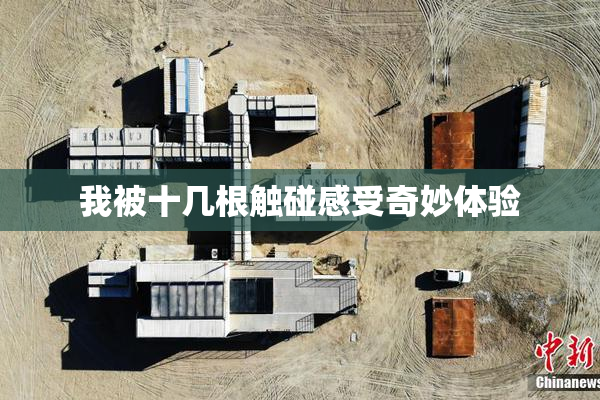 我被十几根触碰感受奇妙体验